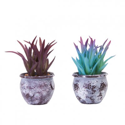 PLANTIN CON MACETA 13CM JM231056