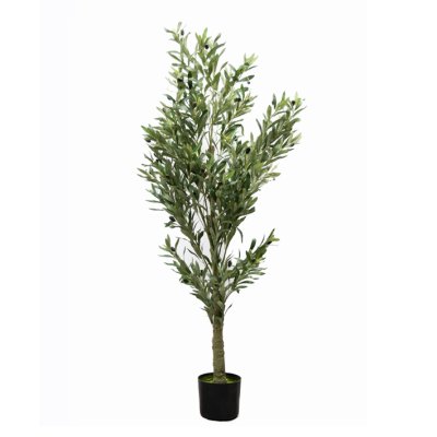 PLANTA DE OLIVO CON MACETA 160CM
