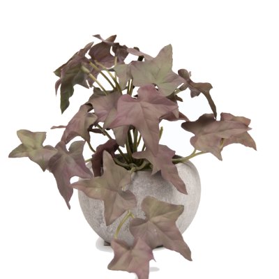 PLANTA CON MACETA 6CM