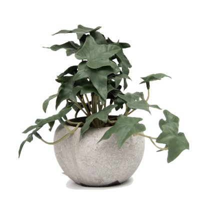 PLANTA CON MACETA 6CM