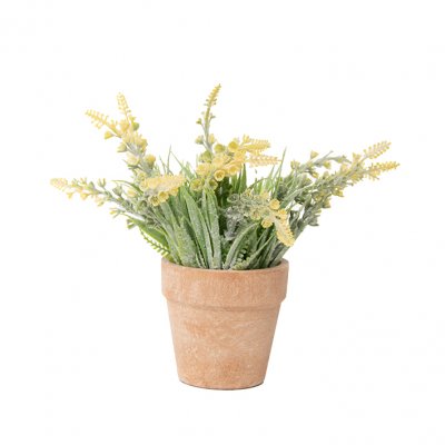 PLANTIN CON FLORES Y MACETA 17CM