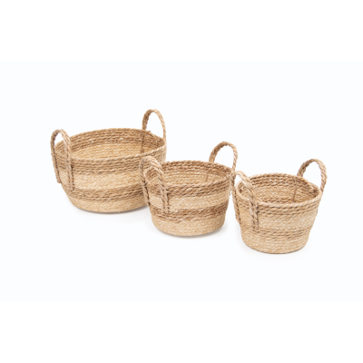 SETX3 CANASTOS 34/30/24