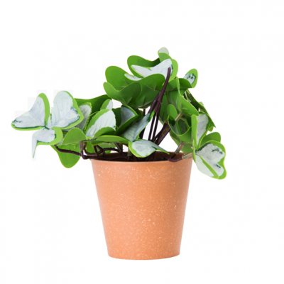 PLANTA CON MACETA PLASTICA 18CM JM231007