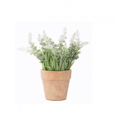 PLANTIN CON FLORES Y MACETA 17CM
