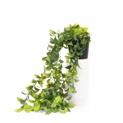 PLANTA COLGANTE 49CM